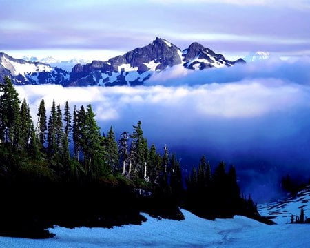 Blue Mountains - clouds, trees, winter, snow, landscape, beauty, nature, mist, mountains