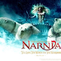 The Chronicles of Narnia: the lion , the witch , and the wardrobe