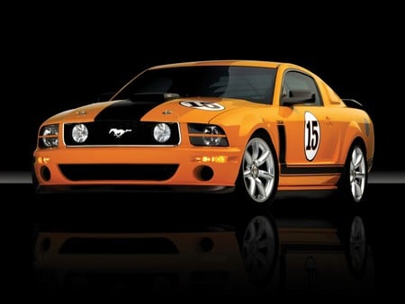 Saleen Ford Mustang  - ford, mustang, saleen