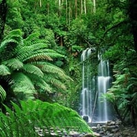 Beauchamp Falls, Victoria, Australia