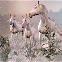 Horses in Winter (3d)