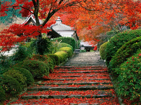 Fall In Eastern Heaven Garden - fall, stair, fourseason, east countries