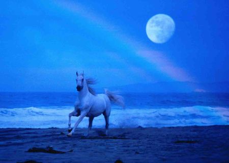 Magical Journey - moon, animal, horse