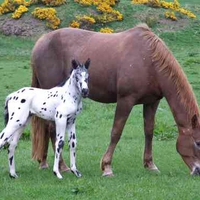 Mother and child