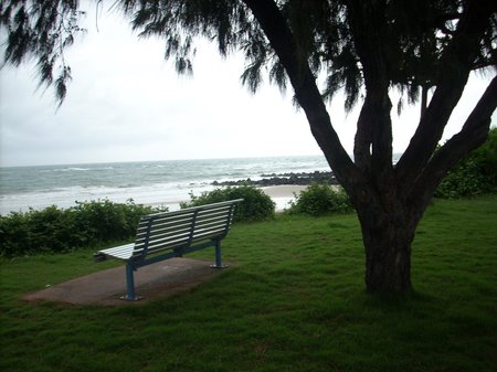 Quiet spot near my beach - bench, beach, tree, sea, grass