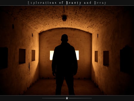 Explorations of Beauty and deeay - beauty, explorations, deeay