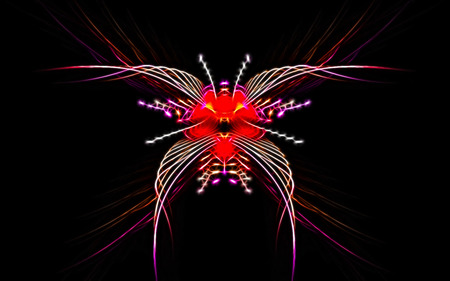 Butterfly - butterfly, glow, sparkling, fractal, abstract, colorful