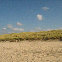 The coast of the Netherlands; beach and dunes