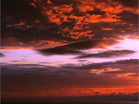 Red Clouds - beautiful, red clouds, picture