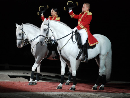 Two Beautiful Spaniards - pre, spanish, andalusian horse, horses, spain, spanish horse, stallions, animals, andalusian