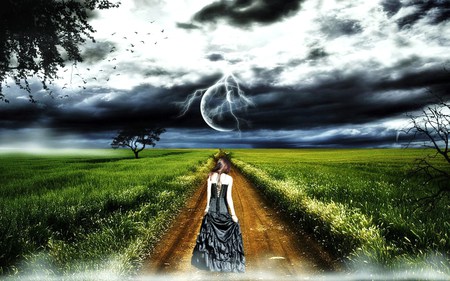 The long road I travel - woman, clouds, road, birds, dress