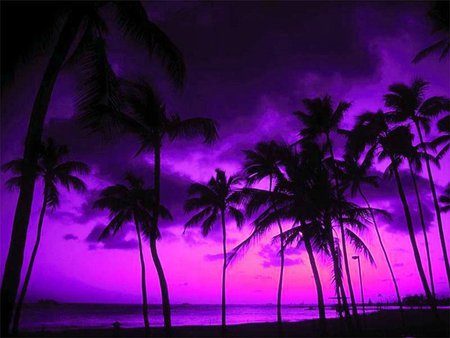 0312167001189194862.jpg - sunset, nature, purple, romantic, pink