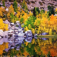 BBEAUTIFUL MIRROR IMAGE OF SHORELINE