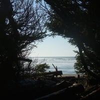 Scenic View of Beach in British Columbia