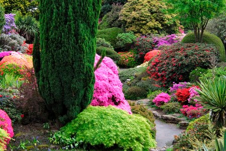 Beauty rocks - flowers, trees, red, green, bushes, pinks, pat