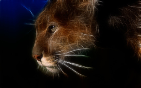  Cougar - puma, entropy, cougar, fractal, cat, wallpaper