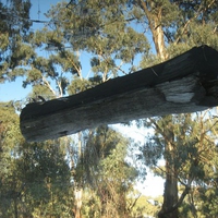 Gravity defying log