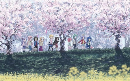 lucky star - schoolgirls, hanami, blossom, prett, cherry, beautiful, walking, petals, pink, uniform, colorful, cute