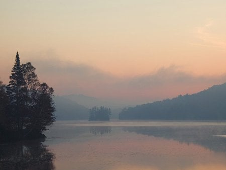 Misty Marsh - nature, forces of nature