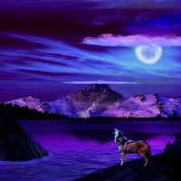 howling nites