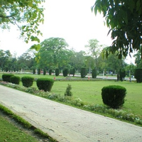 New Shalimar garden