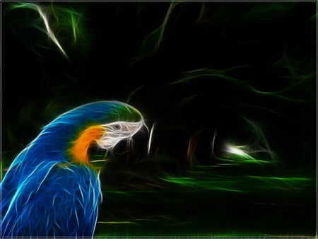 Fractal parrot - white, parrot, orange, fractal, blue, green