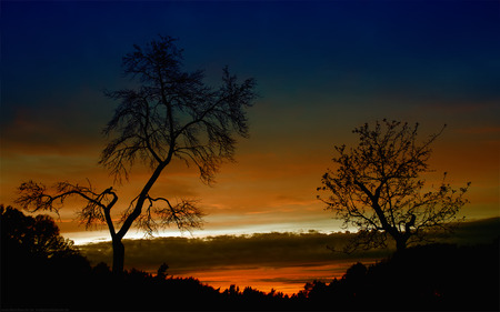 African Night - night, sunset, dark, africa