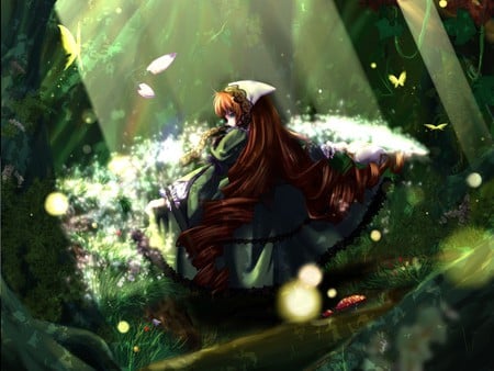 Rozen Maiden - girl, female, hair, eyes, nature, rozen, brown, forest, blue, anime, green, orbs, flowers, maiden