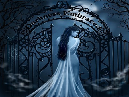 DARKNESS EMBRACED - female, dress, gothic, night, darkness