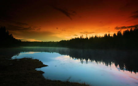 Orange Skies - trees, beautiful, sunrise, forest, orange, skies, magnificent, sunset, nature, lake, sky