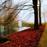 Bridge in the park