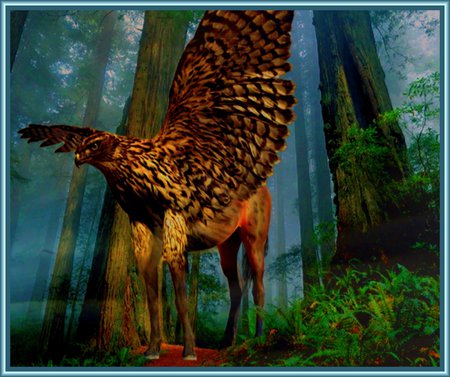 Hippogriff - myth, gryphon, hippogryph, magic