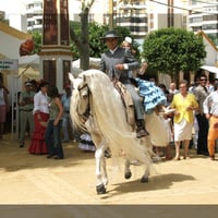 The Longest Mane