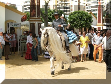 The Longest Mane - spanish, white, mane, horses, spain, long, spanish horse, animals