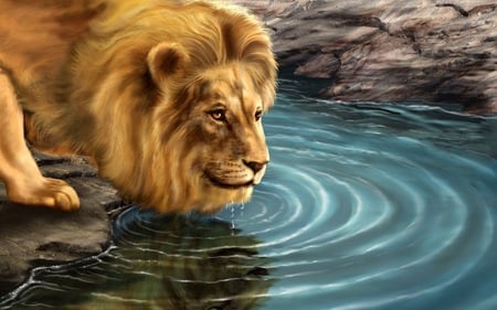 Thirsty? - abstract, lion, water