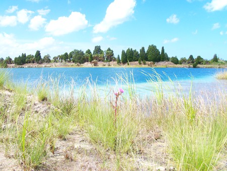 ~Weeki-Wachee Preserve~Rock Island~Limestone Lake~ - sky, freash water, trees, florida, water, foliage, nature, lakes, clouds, blue, beautiful, land, photograph, flower