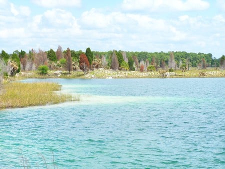 ~Weeki-Wachee Preserve~Rock Island~Limestone Lake~ - clouds, trees, water, blue, beautiful, photograph, florida, nature, land, freash water, lakes, foliage, sky