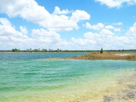 ~Weeki-Wachee Preserve~Rock Island~Limestone Lake~ - sky, freash water, trees, florida, water, foliage, nature, lakes, blue, beautiful, clouds, photograph, land