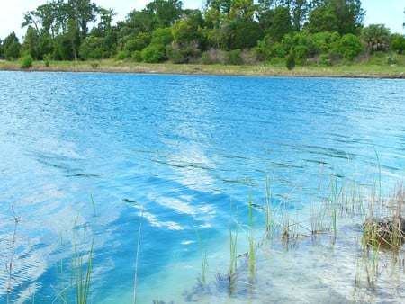 ~Weeki-Wachee Preserve~Rock Island~Limestone Lake~ - clouds, trees, water, blue, beautiful, photograph, florida, nature, land, freash water, lakes, foliage, sky