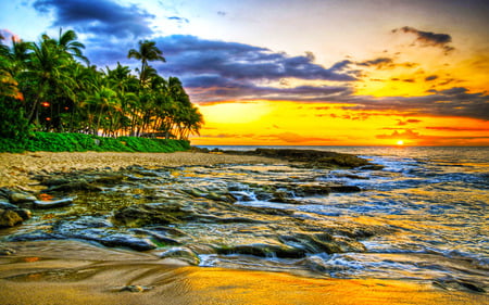 Golden Liquid Beach - sky, beach, trees, wave, rocks, nature, golden, ray, sunrise