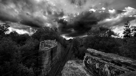 Rumble in the Jungle - sky, trees, graffiti, black and white, storm, abstract, train tracks, forest, clouds