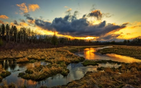 Sunset on the Marsh - clouds, marsh, stream, grass, forest, colorful, river, sunset, creelk, color, sky