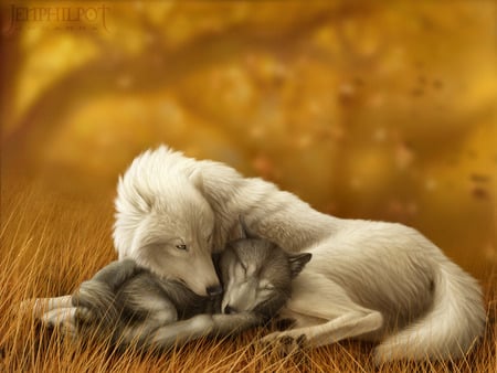 wolf mates VII - wolf, forest, giant, tradional, nice, sleeping, cool, illustration, fur, fantasy, white, big, painting, digital, huge, cute, peaceful, arts