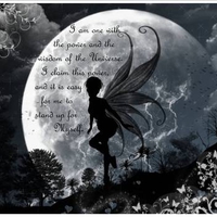 Fairy Moon Wisdom