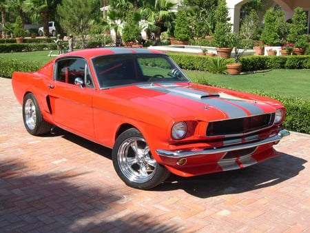 Fastback - red, ford, classic, mustang