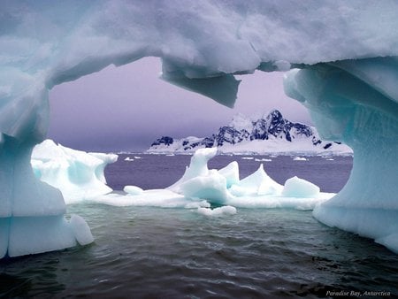 Paradise Bay  - ice, antarctica