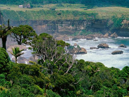 Misty Waters - new zealand, river