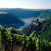 Burg Katz Above the-Rhine