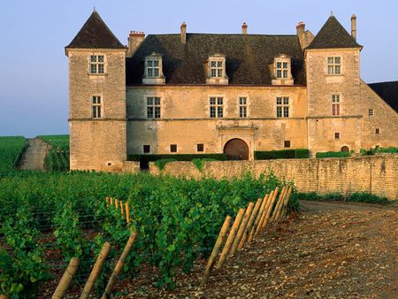 Clos de Vougeot In France  - house, france, farm