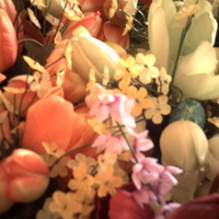 flower?